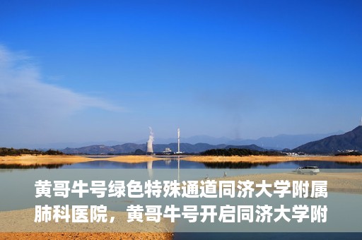 黄哥牛号绿色特殊通道同济大学附属肺科医院，黄哥牛号开启同济大学附属肺科医院绿色特殊通道助力健康之路
