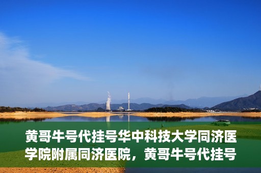 黄哥牛号代挂号华中科技大学同济医学院附属同济医院，黄哥牛号代挂号背后的同济医院就医故事