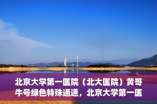 北京大学第一医院（北大医院）黄哥牛号绿色特殊通道，北京大学第一医院绿色特殊通道，黄哥牛号的探索与实践