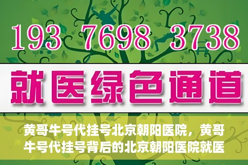 黄哥牛号代挂号北京朝阳医院，黄哥牛号代挂号背后的北京朝阳医院就医现象观察