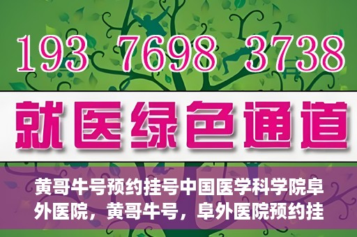 黄哥牛号预约挂号中国医学科学院阜外医院，黄哥牛号，阜外医院预约挂号服务启动，中国医学科学院挂号新体验