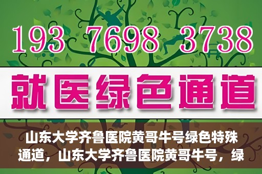 山东大学齐鲁医院黄哥牛号绿色特殊通道，山东大学齐鲁医院黄哥牛号，绿色特殊通道开启健康之门