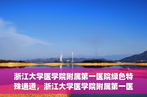 浙江大学医学院附属第一医院绿色特殊通道，浙江大学医学院附属第一医院绿色特殊通道，健康之路的高效通道