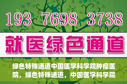 绿色特殊通道中国医学科学院肿瘤医院，绿色特殊通道，中国医学科学院肿瘤医院探索之旅