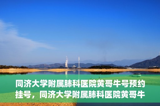 同济大学附属肺科医院黄哥牛号预约挂号，同济大学附属肺科医院黄哥牛预约挂号攻略，轻松预约专家号