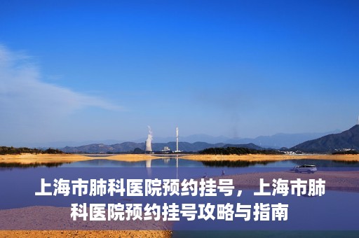 上海市肺科医院预约挂号，上海市肺科医院预约挂号攻略与指南