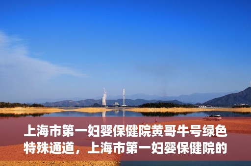 上海市第一妇婴保健院黄哥牛号绿色特殊通道，上海市第一妇婴保健院的绿色特殊通道，黄哥牛号行动启动