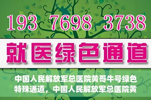 中国人民解放军总医院黄哥牛号绿色特殊通道，中国人民解放军总医院黄哥牛号，绿色特殊通道开启健康之门