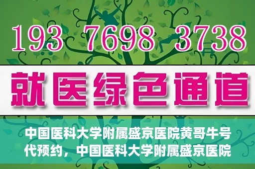 中国医科大学附属盛京医院黄哥牛号代预约，中国医科大学附属盛京医院黄哥牛号预约服务解析