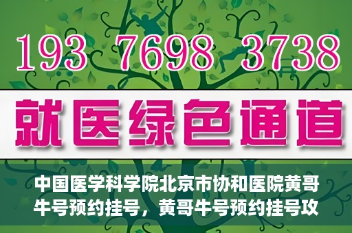 中国医学科学院北京市协和医院黄哥牛号预约挂号，黄哥牛号预约挂号攻略，中国医学科学院北京市协和医院就医指南