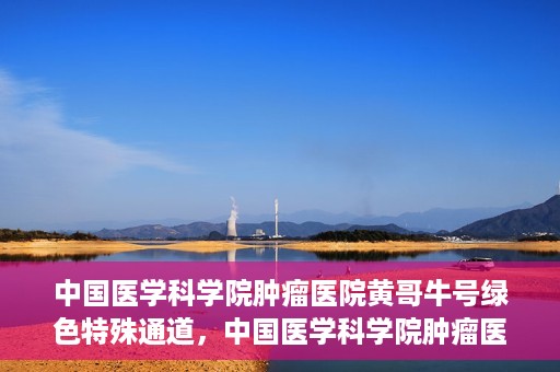 中国医学科学院肿瘤医院黄哥牛号绿色特殊通道，中国医学科学院肿瘤医院黄哥牛号，绿色特殊通道开启健康之门