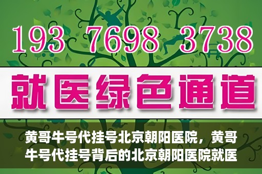 黄哥牛号代挂号北京朝阳医院，黄哥牛号代挂号背后的北京朝阳医院就医现象观察