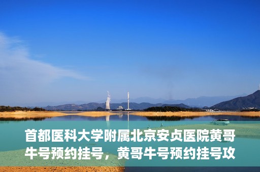 首都医科大学附属北京安贞医院黄哥牛号预约挂号，黄哥牛号预约挂号攻略，首都医科大学附属北京安贞医院就医指南