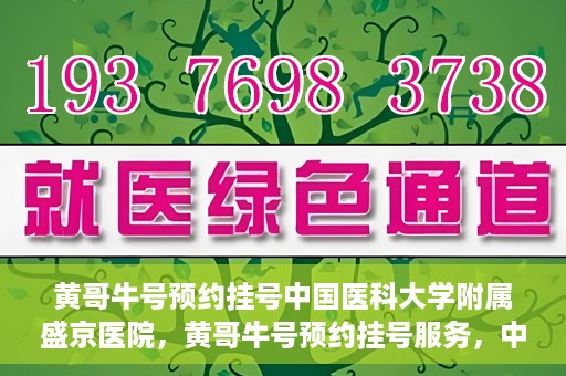 黄哥牛号预约挂号中国医科大学附属盛京医院，黄哥牛号预约挂号服务，中国医科大学附属盛京医院便捷就医新体验