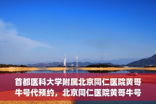 首都医科大学附属北京同仁医院黄哥牛号代预约，北京同仁医院黄哥牛号预约服务解析