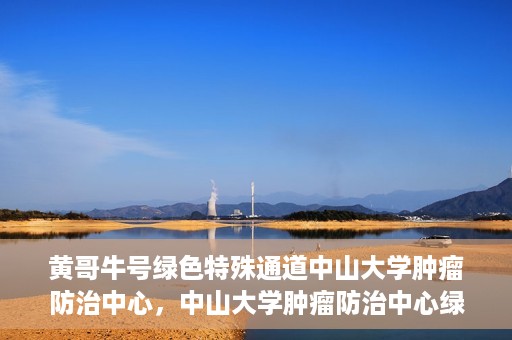 黄哥牛号绿色特殊通道中山大学肿瘤防治中心，中山大学肿瘤防治中心绿色特殊通道，黄哥牛号引领健康新航向
