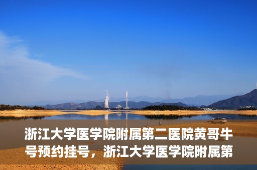 浙江大学医学院附属第二医院黄哥牛号预约挂号，浙江大学医学院附属第二医院黄哥名医牛号预约挂号攻略