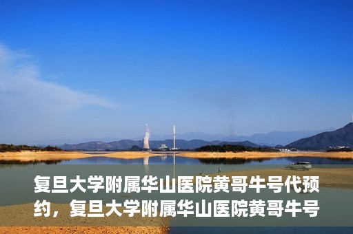 复旦大学附属华山医院黄哥牛号代预约，复旦大学附属华山医院黄哥牛号预约服务解析