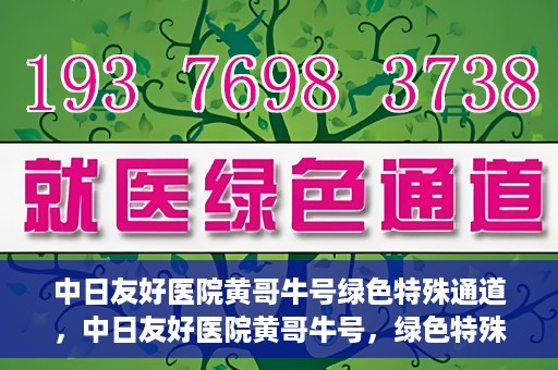 中日友好医院黄哥牛号绿色特殊通道，中日友好医院黄哥牛号，绿色特殊通道开启健康之门