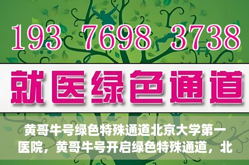 黄哥牛号绿色特殊通道北京大学第一医院，黄哥牛号开启绿色特殊通道，北京大学第一医院全力护航健康之路