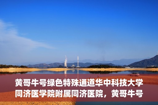 黄哥牛号绿色特殊通道华中科技大学同济医学院附属同济医院，黄哥牛号绿色特殊通道，华中科技大学同济医学院附属同济医院的探索与实践