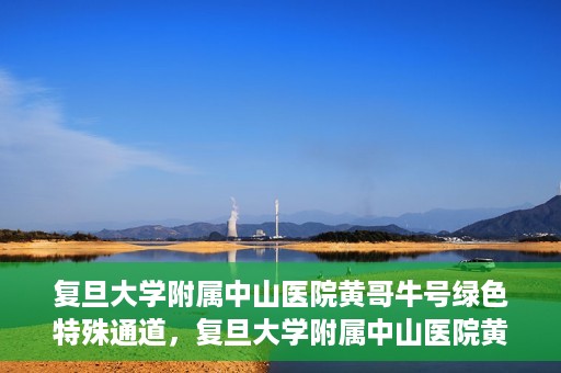 复旦大学附属中山医院黄哥牛号绿色特殊通道，复旦大学附属中山医院黄哥牛号，绿色特殊通道开启健康之门