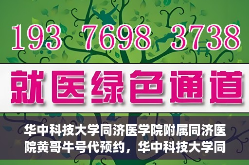 华中科技大学同济医学院附属同济医院黄哥牛号代预约，华中科技大学同济医院黄哥牛号预约服务解析