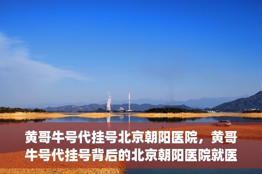 黄哥牛号代挂号北京朝阳医院，黄哥牛号代挂号背后的北京朝阳医院就医现象观察