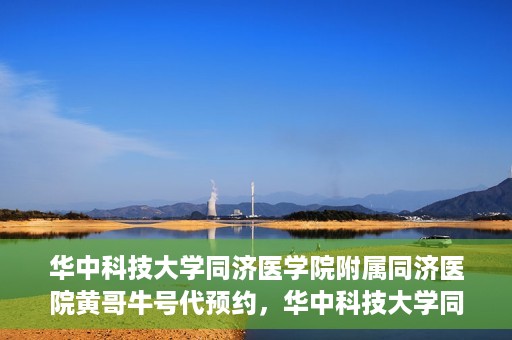 华中科技大学同济医学院附属同济医院黄哥牛号代预约，华中科技大学同济医院黄哥牛号预约服务解析