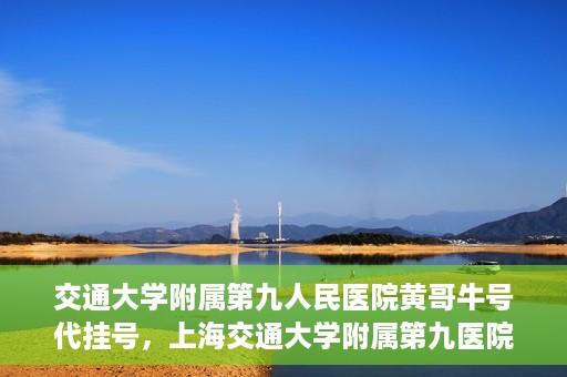 交通大学附属第九人民医院黄哥牛号代挂号，上海交通大学附属第九医院黄哥牛号代挂号攻略解析