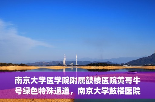 南京大学医学院附属鼓楼医院黄哥牛号绿色特殊通道，南京大学鼓楼医院黄哥牛号，绿色特殊通道的开启