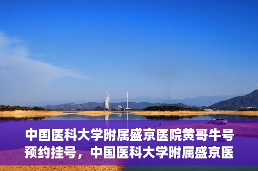中国医科大学附属盛京医院黄哥牛号预约挂号，中国医科大学附属盛京医院黄哥牛号，预约挂号指南