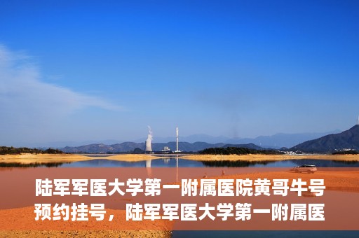 陆军军医大学第一附属医院黄哥牛号预约挂号，陆军军医大学第一附属医院黄哥牛号预约挂号指南，轻松挂号，健康无忧！