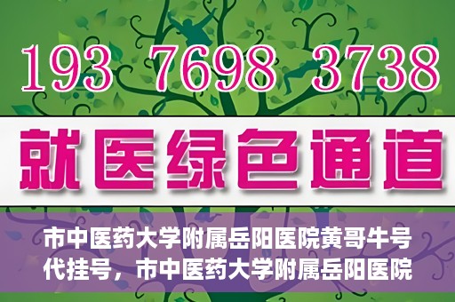 市中医药大学附属岳阳医院黄哥牛号代挂号，市中医药大学附属岳阳医院黄哥牛号代挂号服务解析