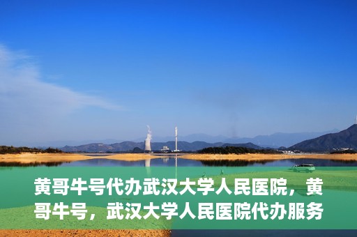 黄哥牛号代办武汉大学人民医院，黄哥牛号，武汉大学人民医院代办服务解析