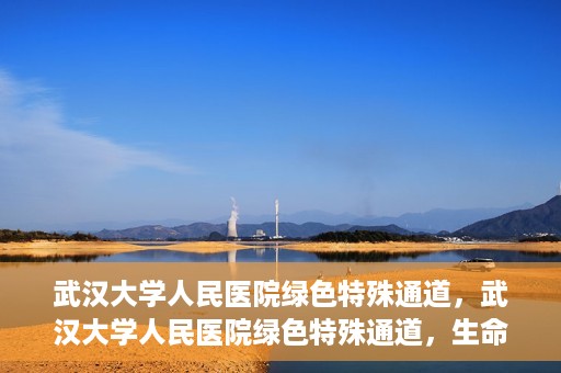 武汉大学人民医院绿色特殊通道，武汉大学人民医院绿色特殊通道，生命救援的紧急通道