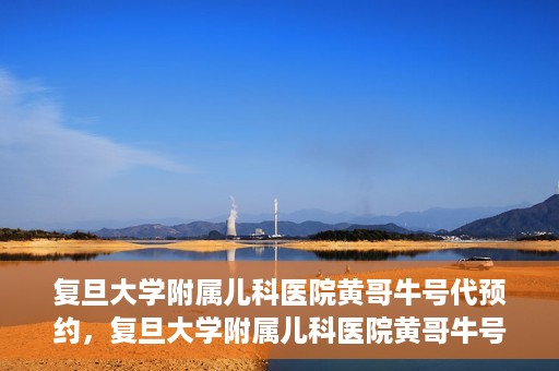 复旦大学附属儿科医院黄哥牛号代预约，复旦大学附属儿科医院黄哥牛号预约服务解析