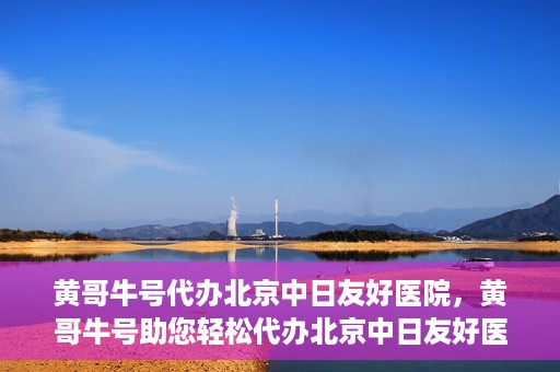 黄哥牛号代办北京中日友好医院，黄哥牛号助您轻松代办北京中日友好医院手续
