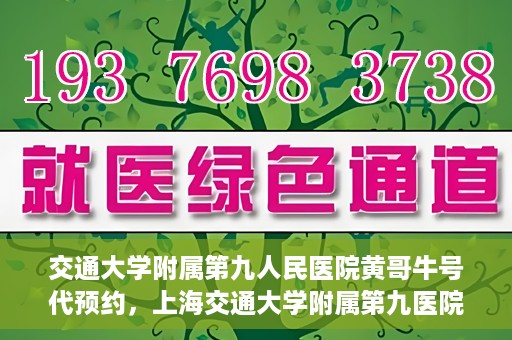 交通大学附属第九人民医院黄哥牛号代预约，上海交通大学附属第九医院黄哥预约挂号服务启动，便捷就医新选择