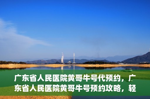 广东省人民医院黄哥牛号代预约，广东省人民医院黄哥牛号预约攻略，轻松掌握预约流程