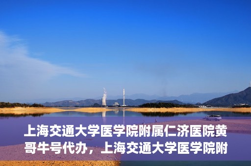 上海交通大学医学院附属仁济医院黄哥牛号代办，上海交通大学医学院附属仁济医院黄哥牛号代办服务详解