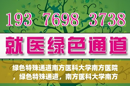 绿色特殊通道南方医科大学南方医院，绿色特殊通道，南方医科大学南方医院的探索与实践