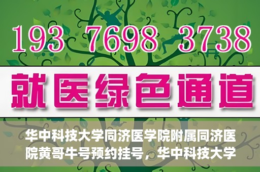 华中科技大学同济医学院附属同济医院黄哥牛号预约挂号，华中科技大学同济医院黄哥牛号预约挂号攻略