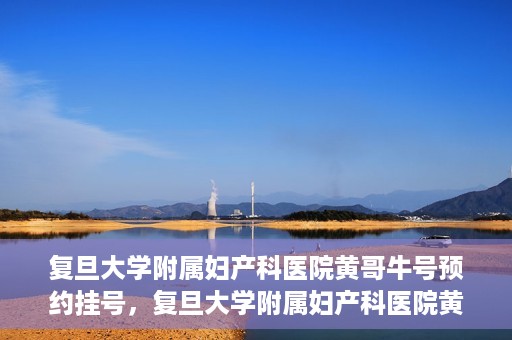 复旦大学附属妇产科医院黄哥牛号预约挂号，复旦大学附属妇产科医院黄哥牛挂号预约攻略解析