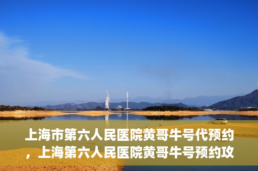 上海市第六人民医院黄哥牛号代预约，上海第六人民医院黄哥牛号预约攻略，轻松解决挂号难题