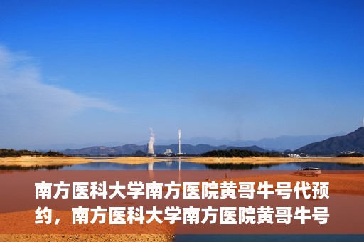 南方医科大学南方医院黄哥牛号代预约，南方医科大学南方医院黄哥牛号预约服务解析