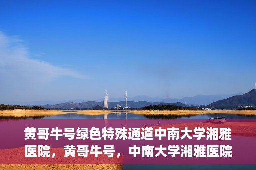 黄哥牛号绿色特殊通道中南大学湘雅医院，黄哥牛号，中南大学湘雅医院绿色特殊通道揭秘