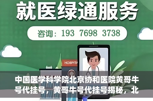 中国医学科学院北京协和医院黄哥牛号代挂号，黄哥牛号代挂号揭秘，北京协和医院挂号背后的故事