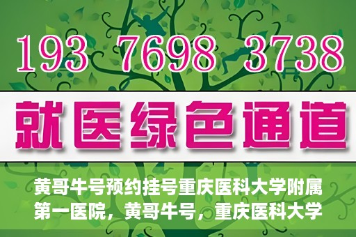 黄哥牛号预约挂号重庆医科大学附属第一医院，黄哥牛号，重庆医科大学附属第一医院预约挂号服务开启