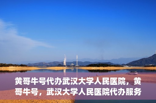 黄哥牛号代办武汉大学人民医院，黄哥牛号，武汉大学人民医院代办服务解析